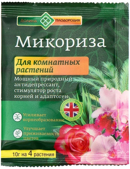 Микориза 