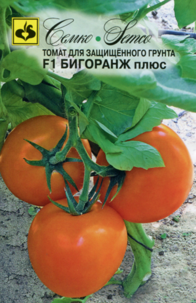 Семена Томат Семко Бигоранж плюс F1 5шт семена томат семко ашдод f1 5шт