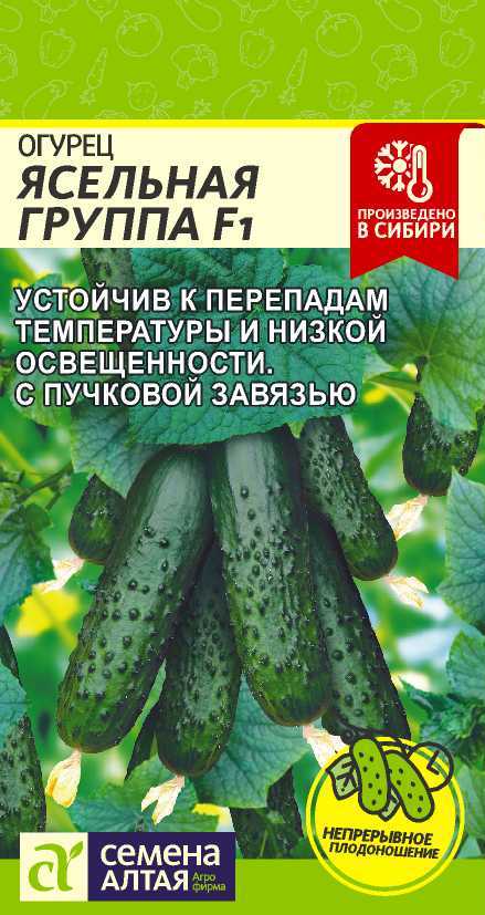 Огурец Семена Алтая Ясельная Группа F1 5шт 199₽