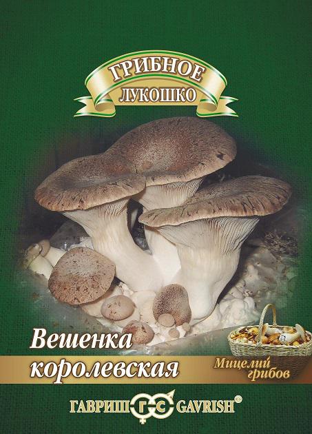 Вешенка 