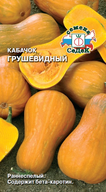 Семена Кабачок Седек Грушевидный 2г семена морковь седек чаровница 2г