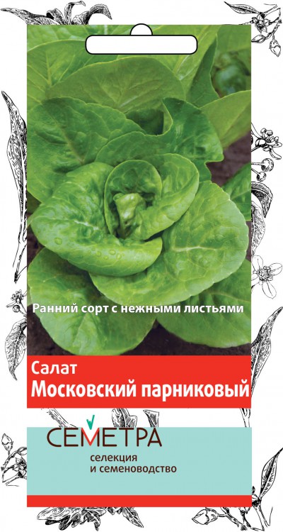 Салат 