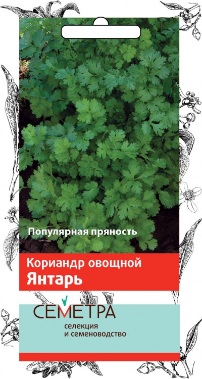 Семена Кориандр овощной Поиск Янтарь 3г семена кориандр овощной поиск авангард 1г