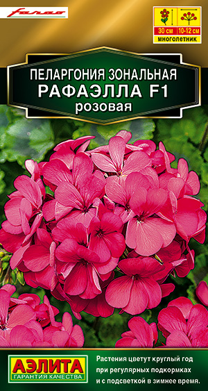 Семена Пеларгония зональная Аэлита Рафаэлла F1 розовая 5шт