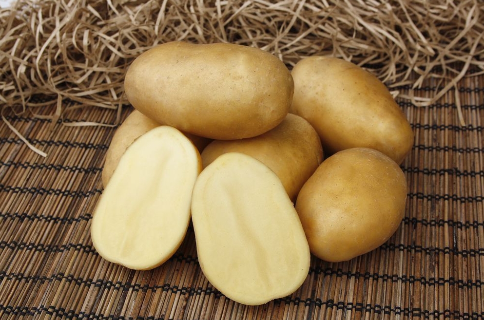 Картофель семенной Седек Импала 2кг семена картофель седек баллада 0 02г