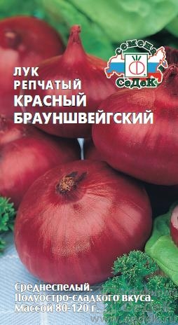 Лук репчатый 