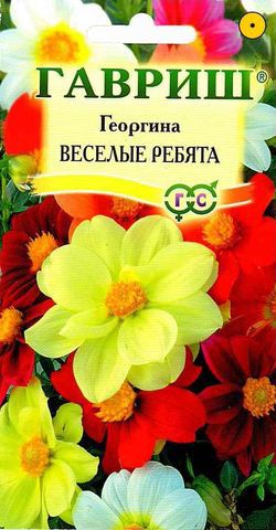 Семена Георгина Гавриш Веселые ребята 0,3г цветы георгина русский огород веселые ребята смесь