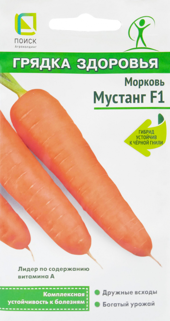 Морковь 