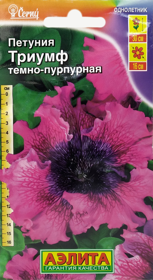 Семена Петуния Аэлита Триумф темно-пурпурная крупноцветковая 10шт семена комплиментуния аэлита мятный лайм f1 крупноцветковая 10шт
