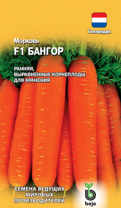 Семена Морковь Гавриш Бангор F1 150шт семена морковь гавриш карамель красная 150шт