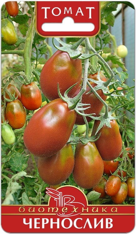 Семена Томат Биотехника Чернослив 25шт семена томат краснобай сер 1 1 25шт