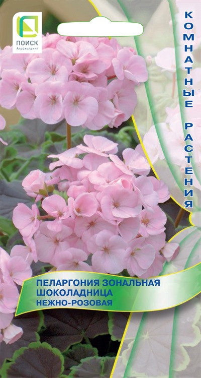Семена Пеларгония зональная Поиск Шоколадница Нежно-розовая 5шт