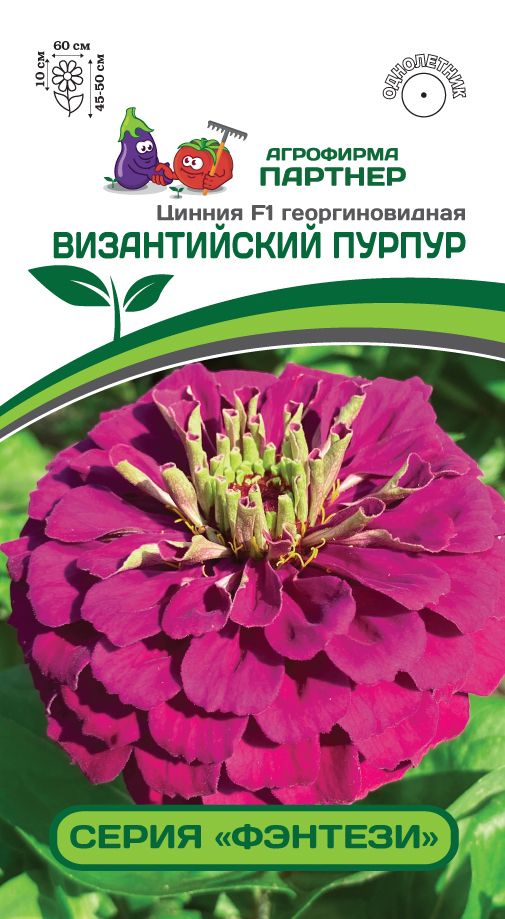 Цинния Партнер Византийский пурпур F1 4шт семена партнер цинния примавера цветы