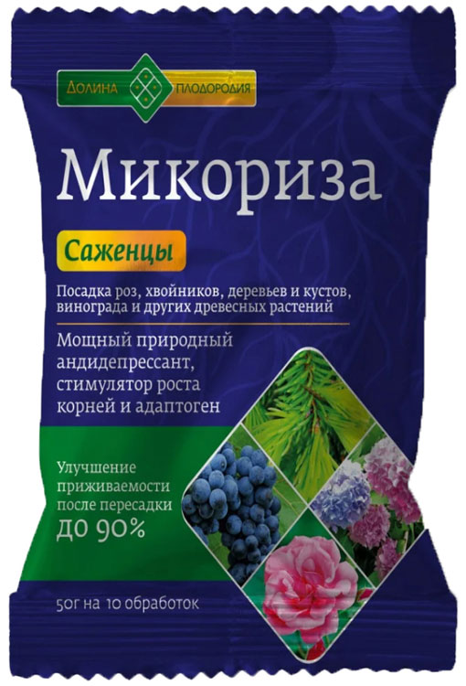 Микориза 