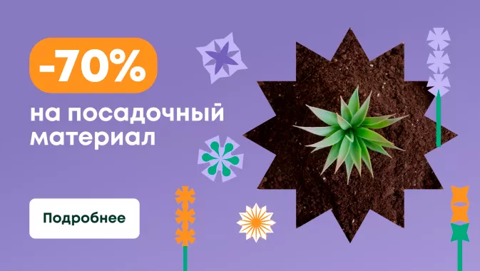 Скидка 50% на посадочный материал