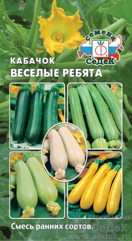 Кабачок 