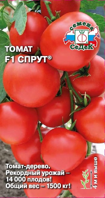 Семена Томат Седек Спрут F1 0,03г семена седек томат непас 2 малиновый f1