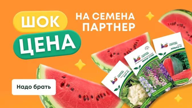 Шок-цена на семена Партнер