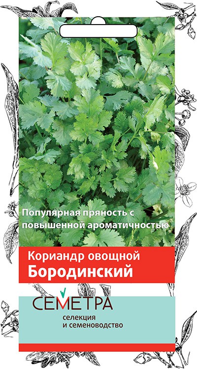 Семена Кориандр овощной Поиск Бородинский 3г кориандр кинза бородинский овощной 2гр ц п