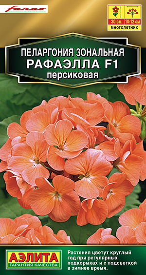 Семена Пеларгония зональная Аэлита Рафаэлла F1 персиковая 5шт семена цветов пеларгония рафаэлла оранжевая f1 5 шт