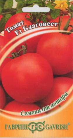 семена гавриш семена от автора томат благовест f1 арт 001333 12шт Семена Томат Гавриш Благовест F1 12шт