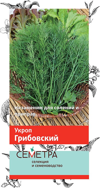 Семена Укроп Поиск Грибовский 3г