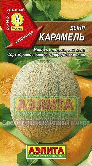 Дыня"Аэлита"Карамель1г