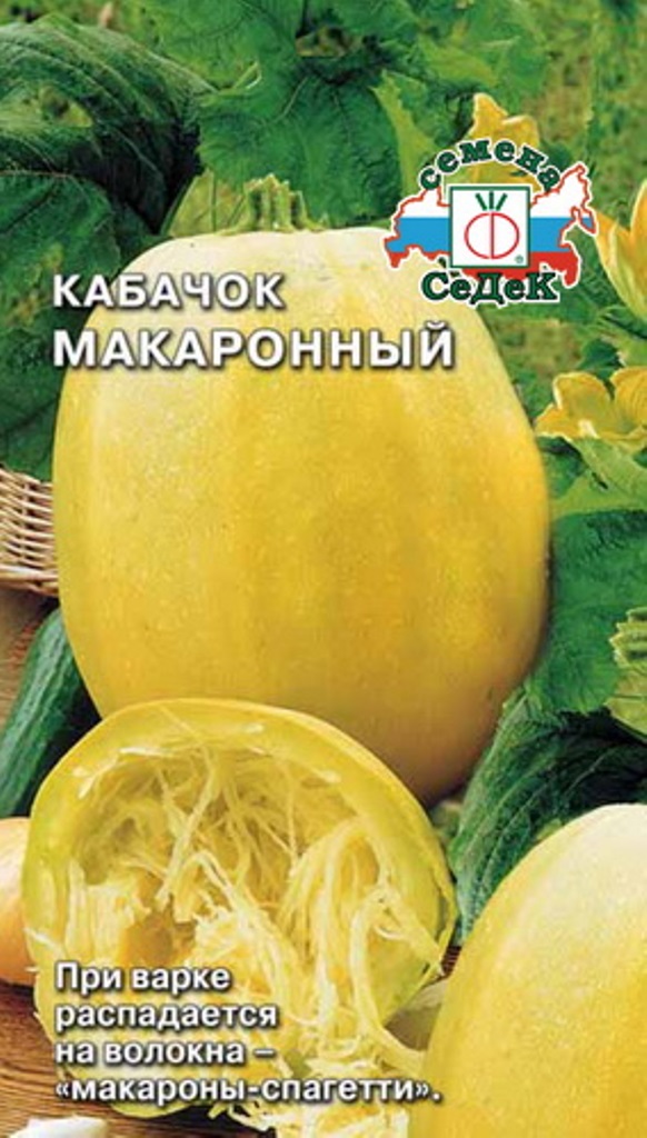 Кабачок 