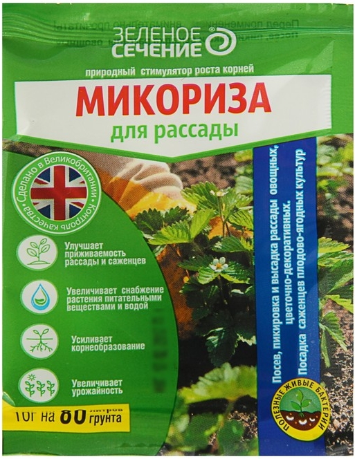 Микориза 