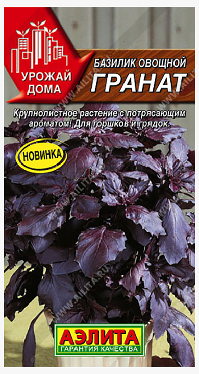 Семена Базилик Аэлита Гранат овощной 0,1г базилик черный гранат семена