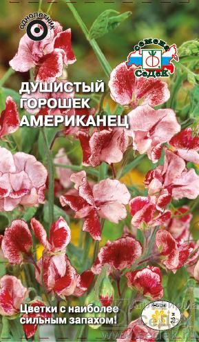 Душистый горошек Седек Американец 05г 48₽