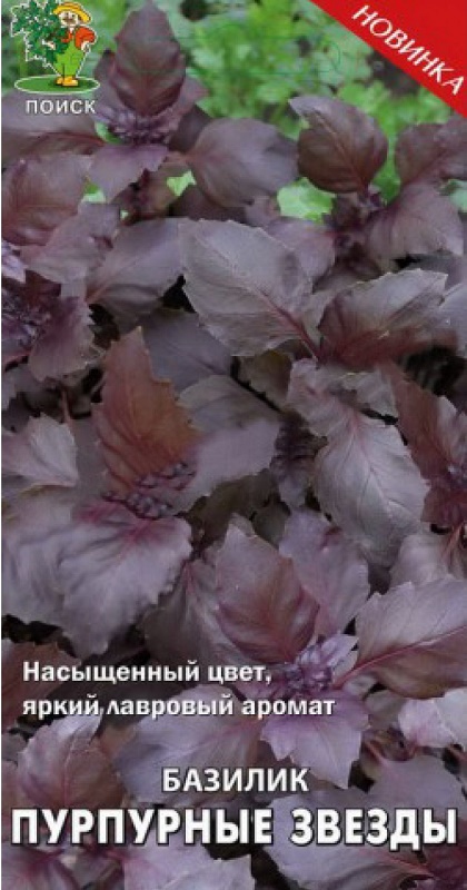 Семена Базилик Поиск Пурпурные звезды 0,1г лавровый лист лето 50 г