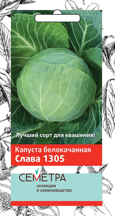 Семена Капуста б/к Поиск Слава-1305 0,5г семена капуста белокачанная слава 1305 средняя 0 5г