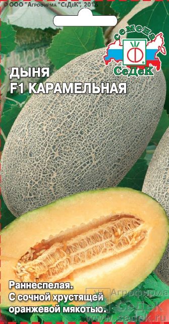 Семена Дыня Седек Карамельная F1 0,5г семена дыня осень цветная упаковка седек
