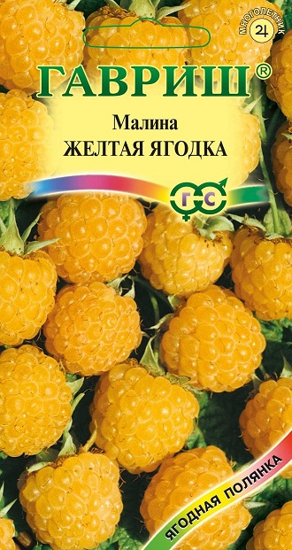 Семена Малина Гавриш Желтая ягодка 10шт