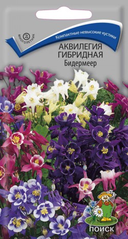 Аквилегия Поиск Бидермеер гибридная 01г 32₽