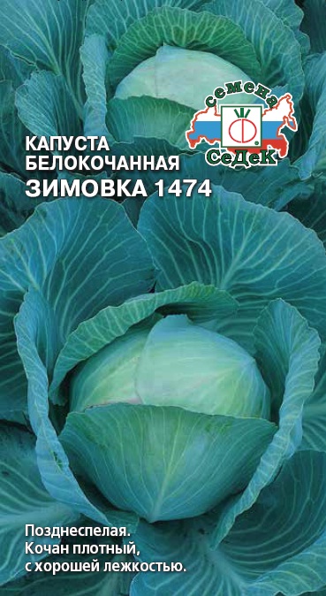 Семена Капуста б/к Седек Зимовка-1474 0,5г семена капуста к к седек рубин f1 0 5г