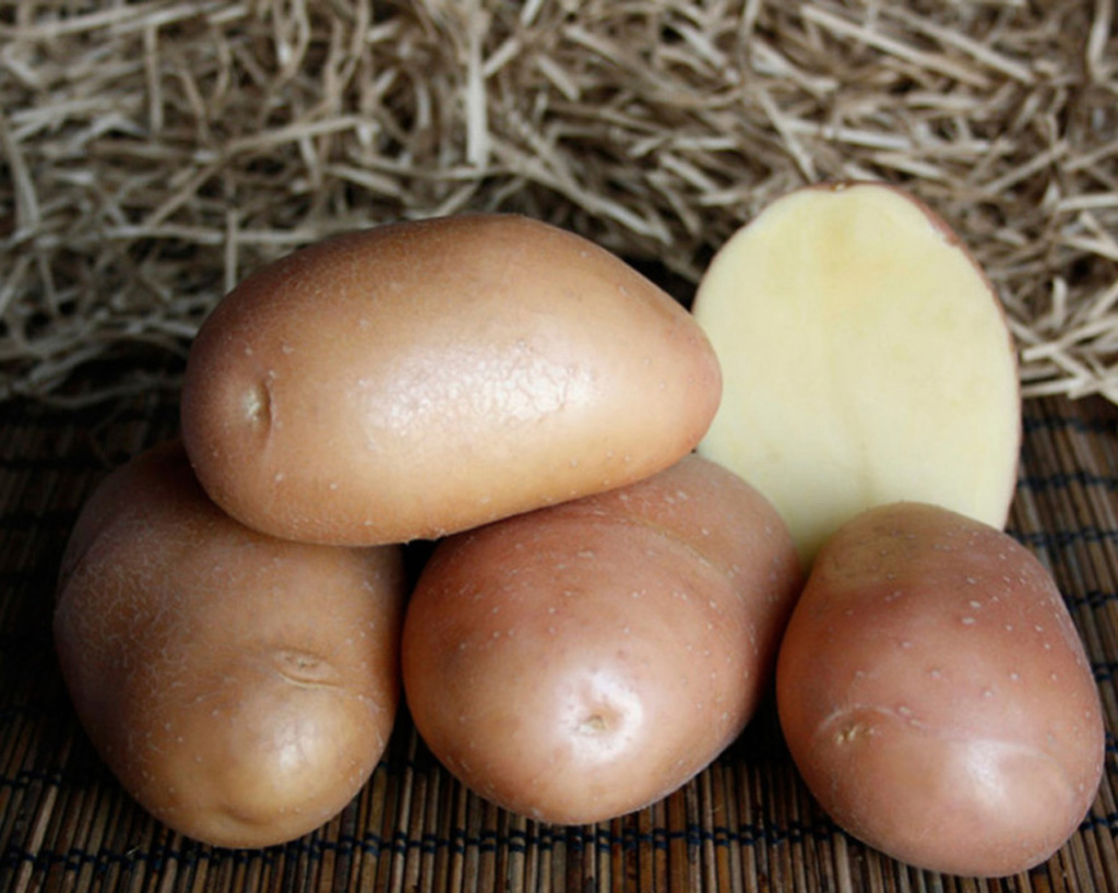 Картофель семенной Седек Ажур 2кг картофель любава 2кг