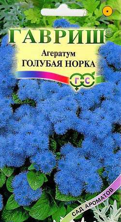 Семена Агератум Гавриш Голубая норка 0,1г цена и фото