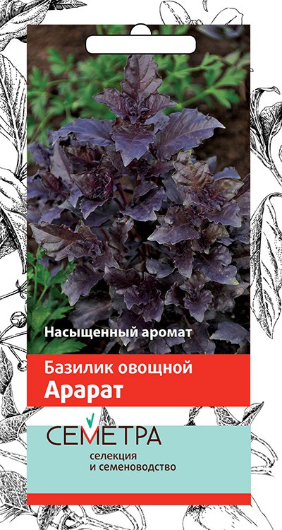 Семена Базилик Поиск Арарат овощной 0,25г семена базилик овощной арарат фиолетовый 0 5г