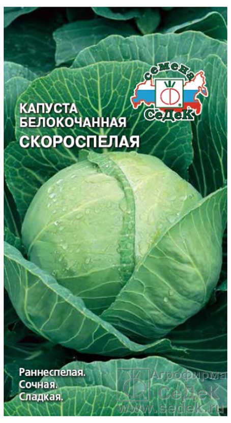 Семена Капуста б/к Седек Скороспелая 0,5г семена капуста к к седек рубин f1 0 5г