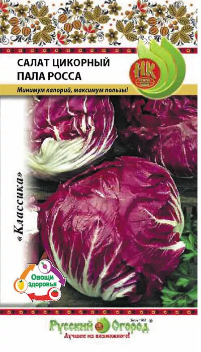 Салат Пала Росса (цикорный) семена - низкая цена, описание, отзывы, продажа