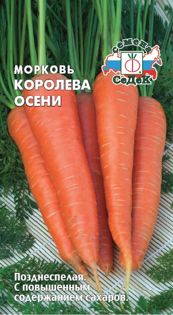 Семена Морковь Седек Королева осени 2г семена морковь седек чаровница 2г