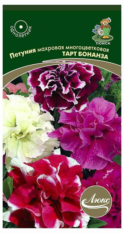 цветы петуния махровая многоцветковая тарт бонанза 10 шт поиск Семена Петуния махровая Поиск Тарт Бонанза 10шт