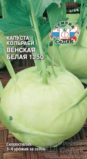 Семена Капуста кольраби Седек Венская белая-1350 0,5г семена капуста цветная седек белая головушка 0 5г