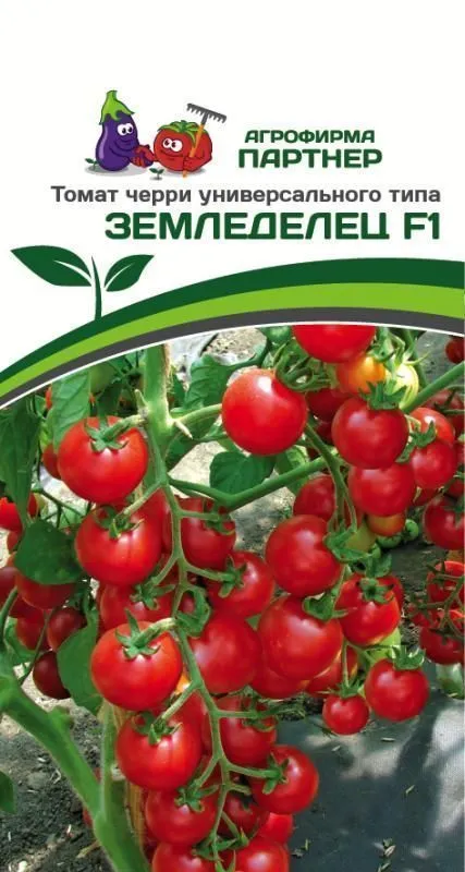 Семена Томат черри Партнер Земледелец F1 0,05г семена томат черри партнер элизабет f1 10шт