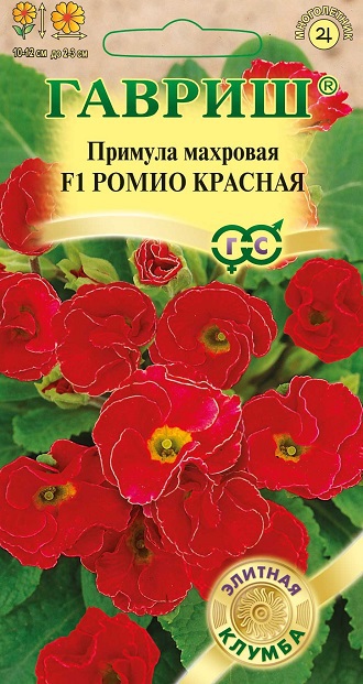 Семена Примула Гавриш Ромио красная махровая F1 3шт примула ромио семена цветы
