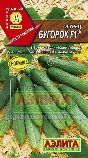 Огурец 