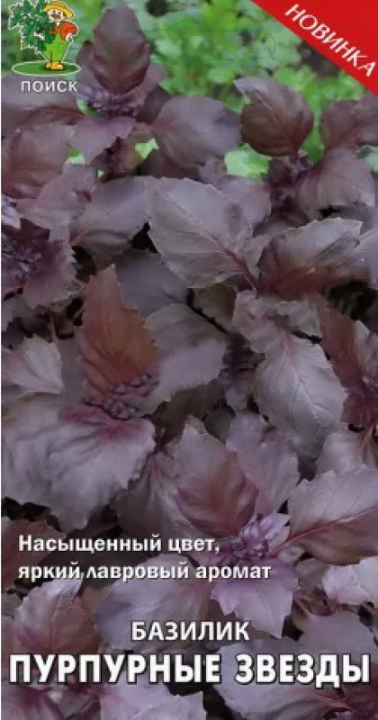 Купить семена Базилика в Москве и доставкой по России