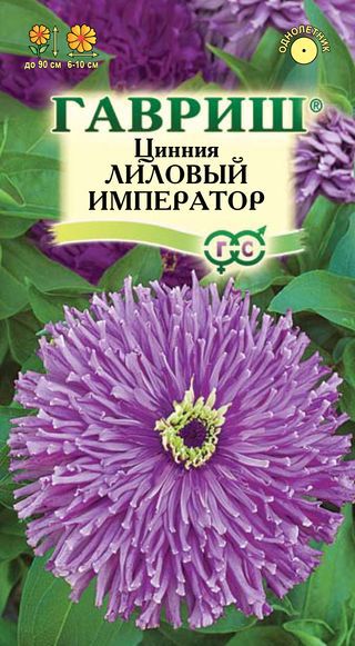 Семена Цинния Гавриш Лиловый император 0,2г цинния крупноцветковая пурпурная семена цветы
